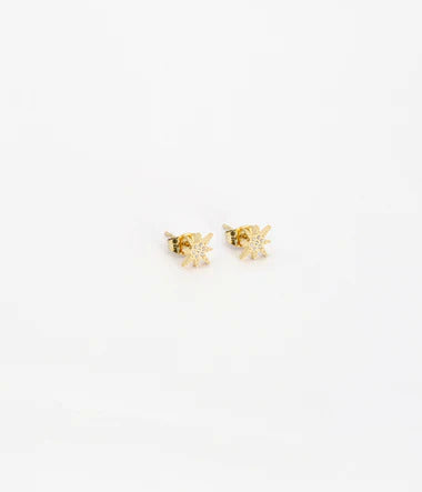 Boucles d'oreilles puces Isaac - ZAG