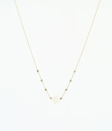 Collier Velasquez - ZAG